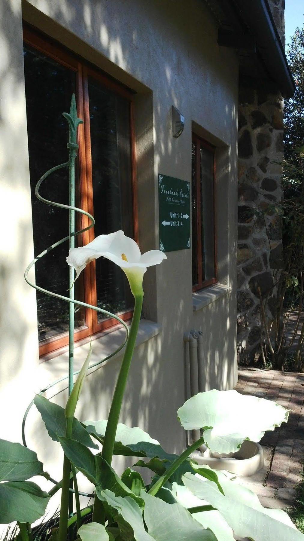 Treelands Estate Dullstroom Kültér fotó